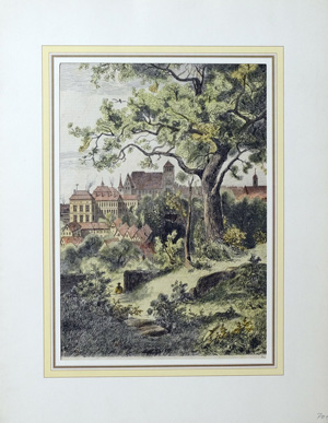 Alte Ansicht Saverne im Elsaß / Alsace Ansicht bei Zabern, von der Villa aus gesehen.,  1870
