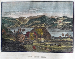 Alte Ansicht Titisee Schwarzwald DER TITI-SEE, 1836