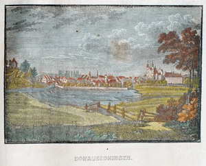 Alte Ansicht Donaueschingen DONAUESCHINGEN., 1836
