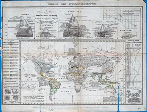 Alte Weltkarte UMRISSE der PFLANZENGEOGRAPHIE,  1855